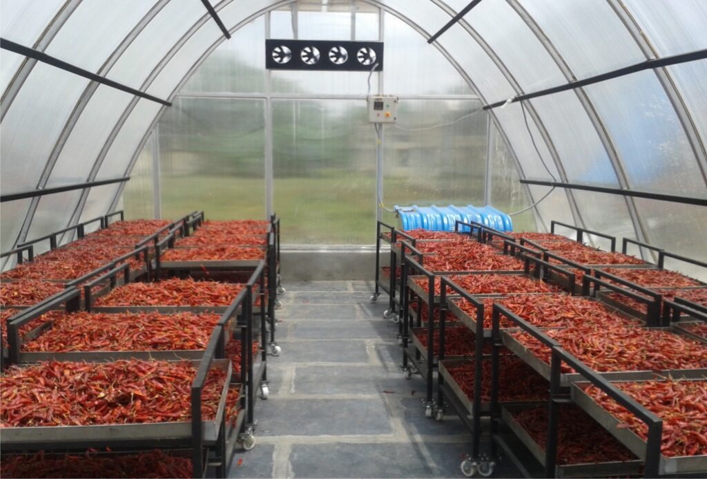 Farmer using climate-smart mobile app