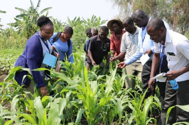 EMA team training farmers